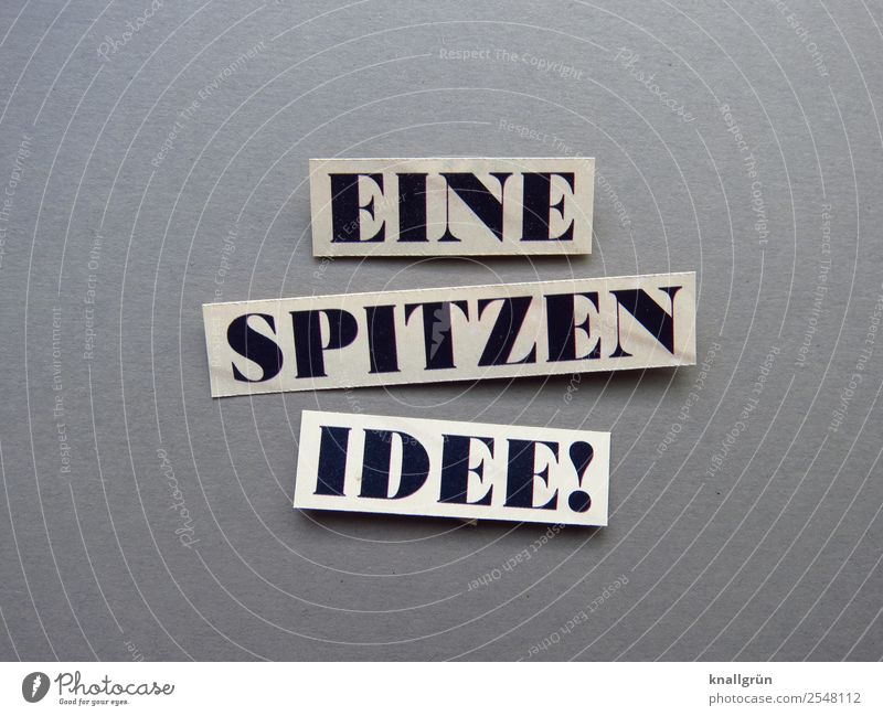 Eine Spitzen Idee! Kreativität Erfolg Denken Lösung kreativ Inspiration Einfall Konzept Innovation Business Buchstaben Wort Satz Letter Typographie