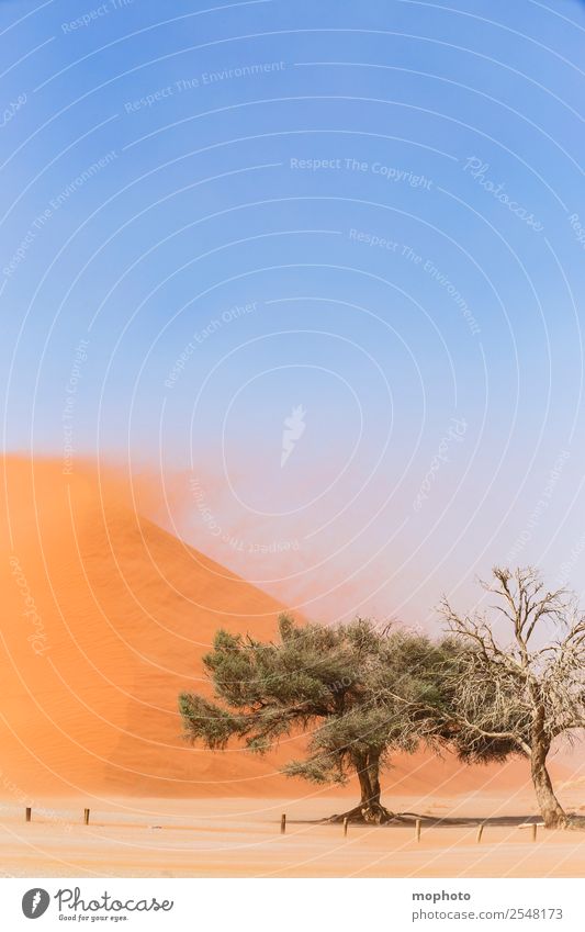Sandsturm im Sossusvlei #3 Ferien & Urlaub & Reisen Tourismus Ausflug Abenteuer Ferne Safari Umwelt Natur Landschaft Klima Wetter schlechtes Wetter Unwetter