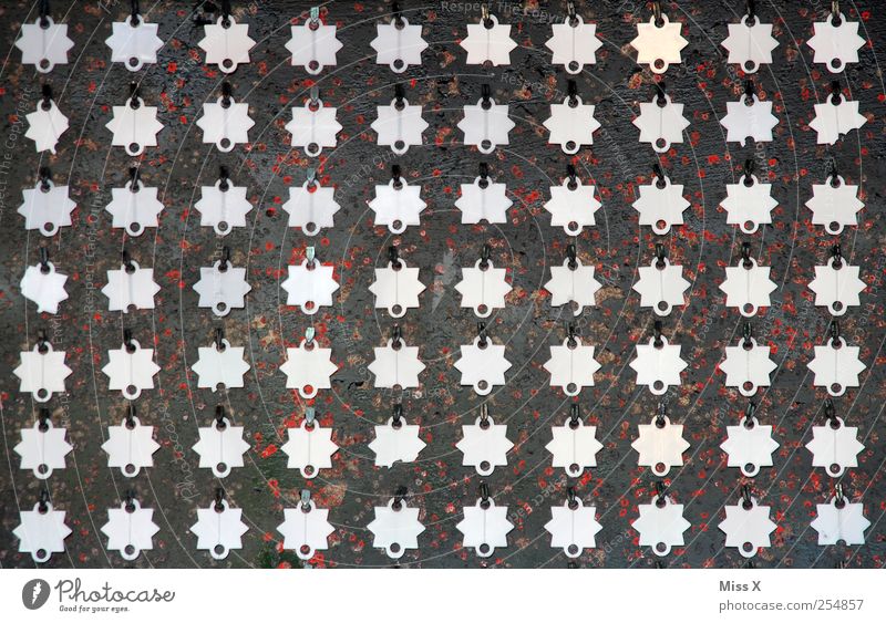 70 silber Stern (Symbol) Farbfoto Muster Menschenleer Plakette Zielscheibe Symmetrie viele Anordnung Reihe aufgereiht