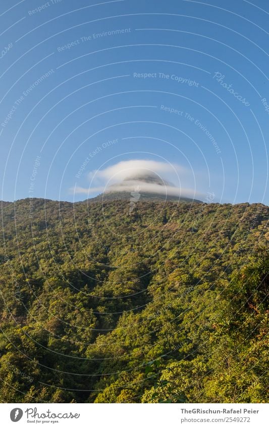 Adam's Peak - Sri Lanka Natur blau grün Berge u. Gebirge Wolken adam's Peak pilgerort Religion & Glaube Wald Himmel Baum wandern Farbfoto Außenaufnahme