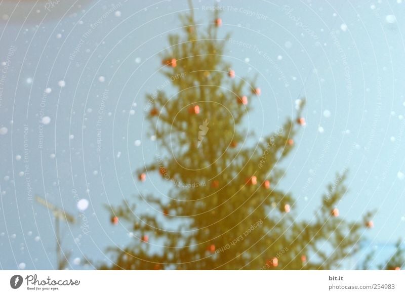 schräge Weihnachten Dekoration & Verzierung Feste & Feiern Weihnachten & Advent Umwelt Himmel Klima Eis Frost Schnee Schneefall glänzend hängen trashig blau rot