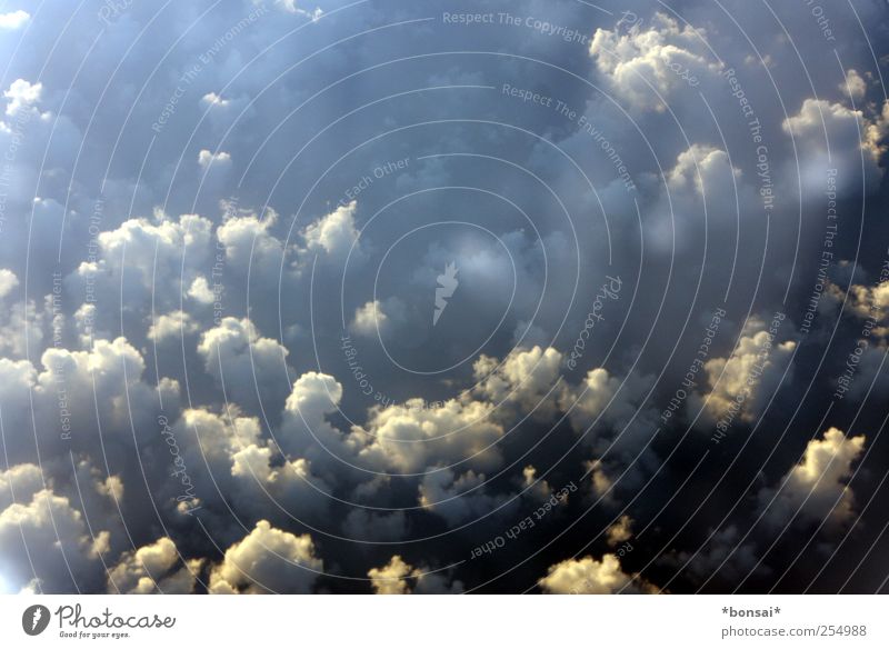 zuckerwatte-lager Luft Himmel Wolken Sonnenlicht Schönes Wetter Luftverkehr Passagierflugzeug fliegen leuchten Ferne frei gigantisch Unendlichkeit hoch