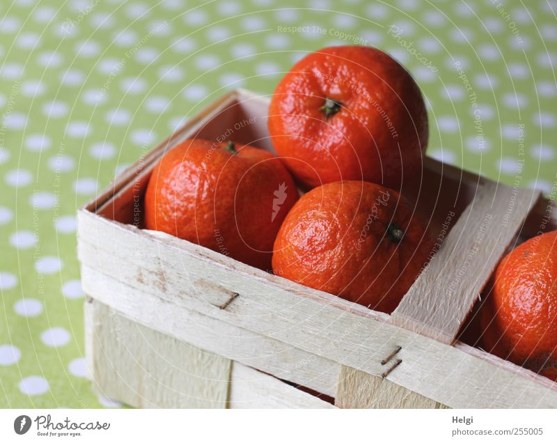 greift zu.... Lebensmittel Frucht Orange Mandarine Ernährung Vegetarische Ernährung Korb Spankorb Punkt liegen ästhetisch authentisch Duft frisch lecker rund