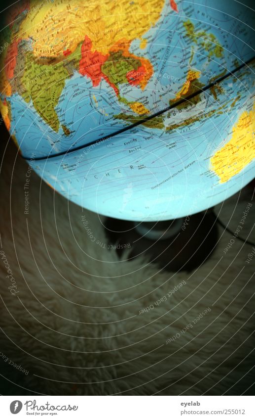 Globalisierung Umwelt Erde Kunststoff Zeichen Schriftzeichen Ziffern & Zahlen dreckig groß rund mehrfarbig Wissen Globus Landkarte Lampe Geografie Meer