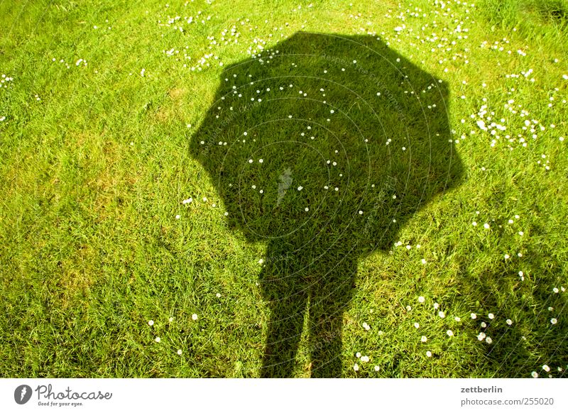 Schirm Wellness Leben harmonisch Zufriedenheit Sinnesorgane Erholung ruhig Meditation Sommer Sommerurlaub Garten Mensch 1 Natur Wolken Klima Klimawandel Wetter