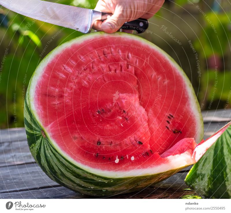 reife große Wassermelone Frucht Ernährung Vegetarische Ernährung Diät Sommer Hand Natur frisch lecker natürlich saftig grün rot Farbe Messer Beeren geschnitten