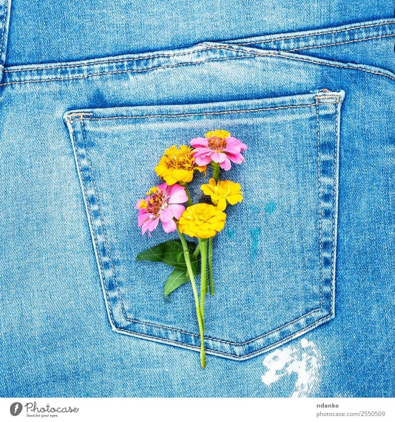 Blumen an der Gesäßtasche Stil Mode Bekleidung Jeanshose Stoff Blühend blau gelb Farbe Tradition Jeansstoff Tasche Rücken Konsistenz Hintergrund lässig Textil