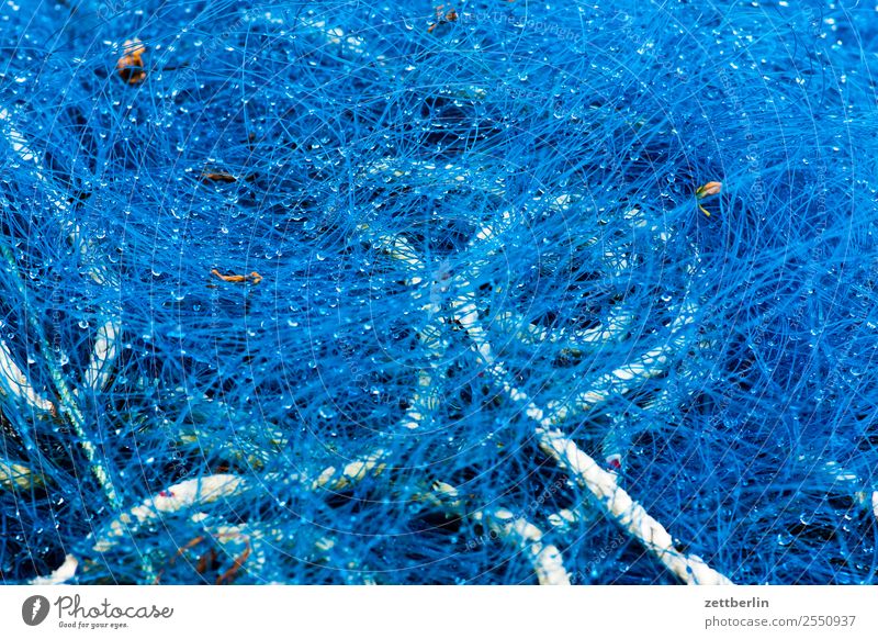 Fischernetz in Sørvågen Netz Fischereiwirtschaft Polarmeer Europa Hafen maritim Meer Norwegen Skandinavien Textfreiraum Ferien & Urlaub & Reisen blau