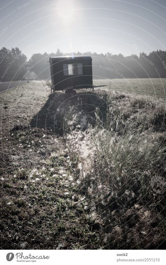 Abstellwagen Umwelt Natur Landschaft Wolkenloser Himmel Horizont Sonne Herbst Schönes Wetter Pflanze Gras Sträucher Feld Wald Bauwagen Straßenrand leuchten hell