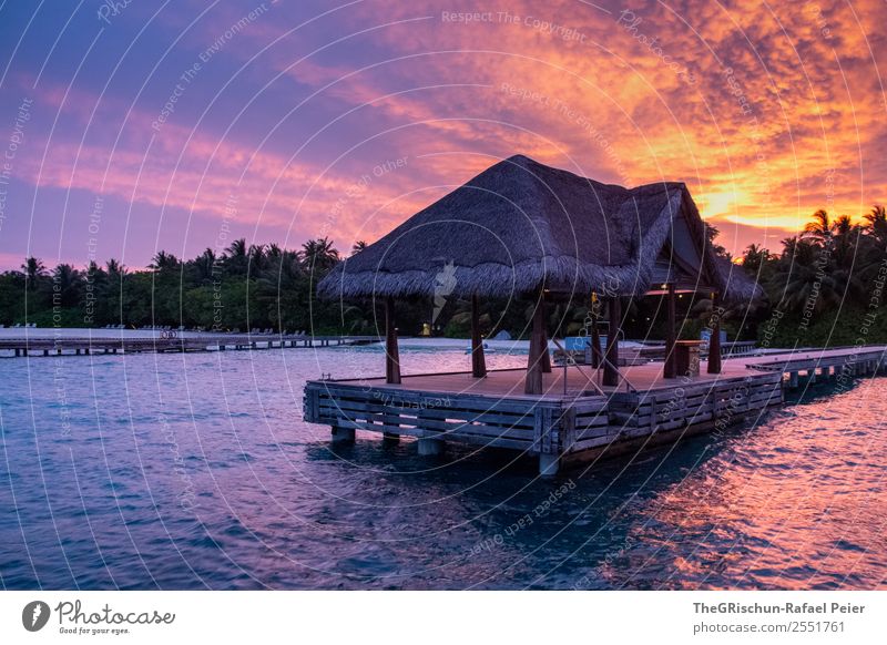 Steg Natur blau violett orange rosa schwarz Malediven Insel traumhaft Traumreise Palme Wärme Himmel Stimmung Sonnenuntergang Ferien & Urlaub & Reisen