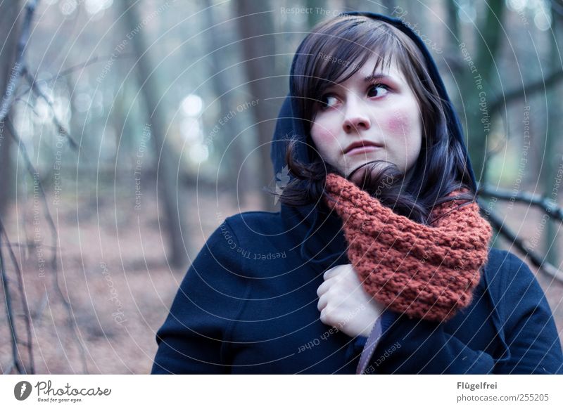 Ah, war doch nur eine Eule (ÒvÓ) feminin Junge Frau Jugendliche 1 Mensch Blick Wald Märchen unheimlich Einsamkeit skeptisch unsicher Schal Haare & Frisuren Baum