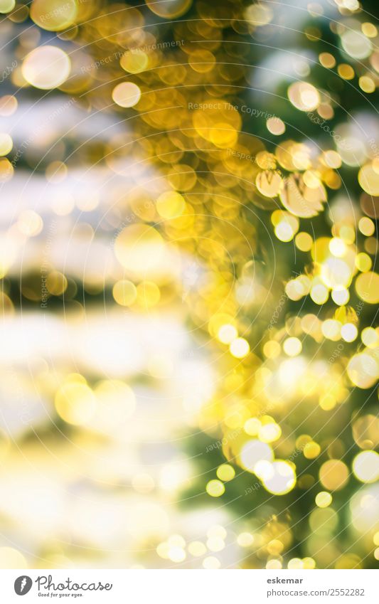 Christmas bokeh Feste & Feiern Weihnachten & Advent Silvester u. Neujahr Weihnachtsbaum ästhetisch schön modern retro rund grün weiß Stimmung Lebensfreude