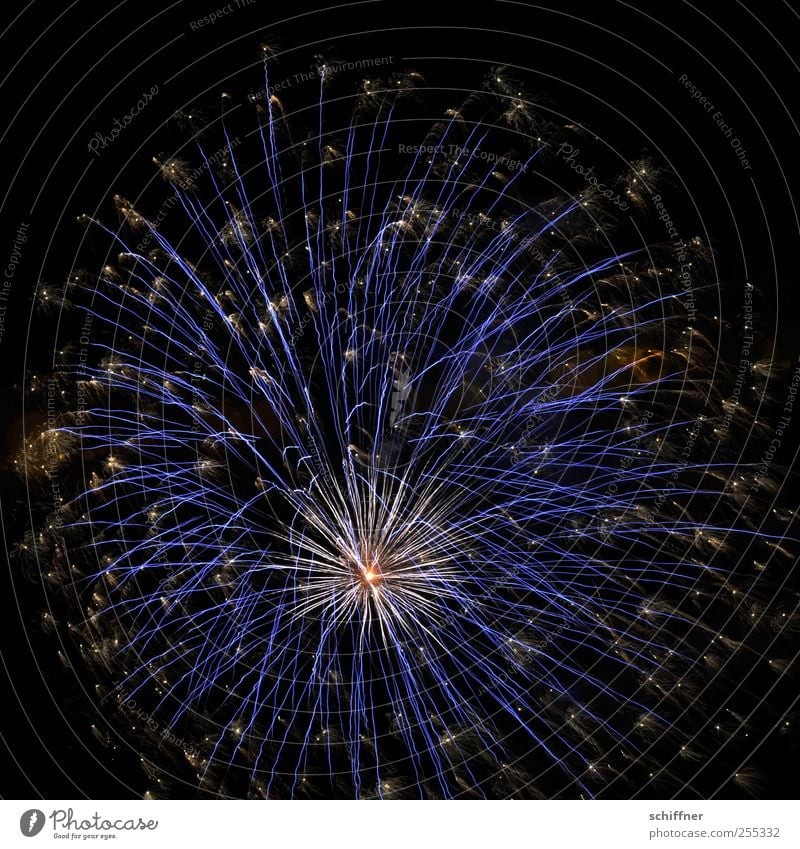 Für dich soll's bunte Bilder regnen Nachtleben Feste & Feiern Silvester u. Neujahr blau Feuerwerk Stern (Symbol) explodieren schön Nationalfeiertag Knall