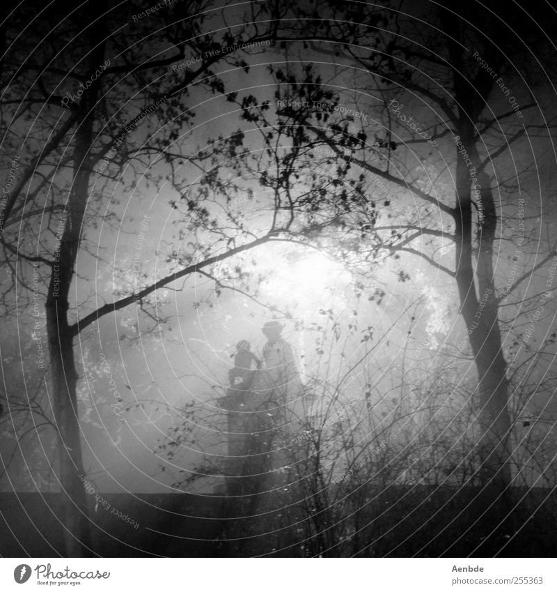 let´s get lost Baum gruselig Steinfigur Romantik dunkel Monster Nebel Schwarzweißfoto Außenaufnahme Experiment Nacht Silhouette Gegenlicht Sonnenlicht