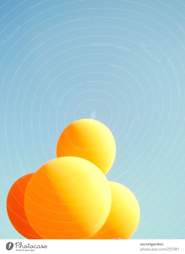 Für dich solls bunte ballons regnen! Jahrmarkt Wolkenloser Himmel Schönes Wetter Luftballon hell retro rund Wärme blau orange Freude 4 aufgeblasen fliegen