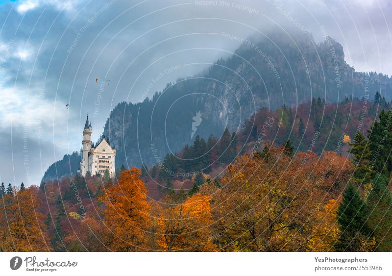 Herbstfarbener Wald in den bayerischen Alpen schön Ferien & Urlaub & Reisen Berge u. Gebirge Natur Landschaft Wolken Blatt Füssen Deutschland Burg oder Schloss