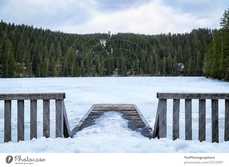 Kleiner hölzerner Pier und Zaun über einem zugefrorenen See Ferien & Urlaub & Reisen Winter Schnee Natur Landschaft Wetter Schwarzwald Brücke Sehenswürdigkeit