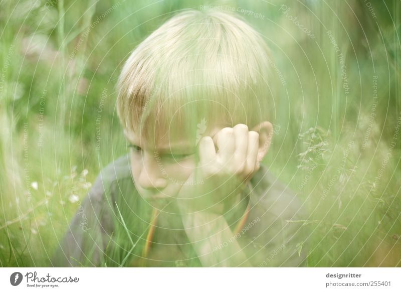 Für dich soll´s bunte Bilder regnen! Verlierer Mensch Junge Kindheit 1 Gras Garten Wiese blond rebellisch Wut Langeweile Traurigkeit Trauer Unlust Heimweh