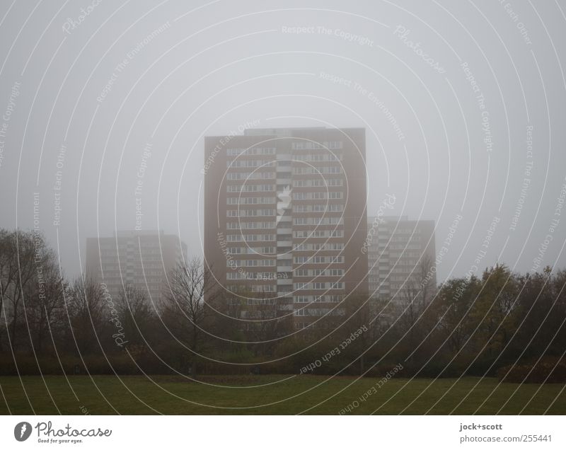 für dich solls bunte Bilder regnen (im Nebel) Himmel schlechtes Wetter Marzahn Stadtrand Wohnhochhaus Fassade authentisch trist grau Stimmung Plattenbau Park