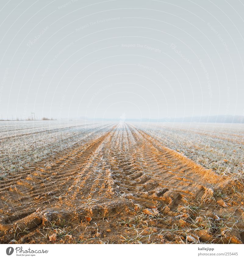 für dich soll´s bunte bilder regnen Umwelt Natur Landschaft Pflanze Tier Erde Sand Wolkenloser Himmel Winter Feld kalt Ackerbau Traktor Reifenspuren Horizont