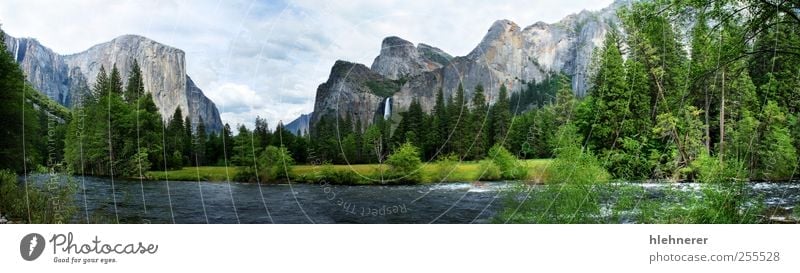 El Capitan Yosemite Nationalpark schön Ferien & Urlaub & Reisen Tourismus Freiheit Sommer Berge u. Gebirge Umwelt Natur Landschaft Himmel Wolken Baum Gras Park