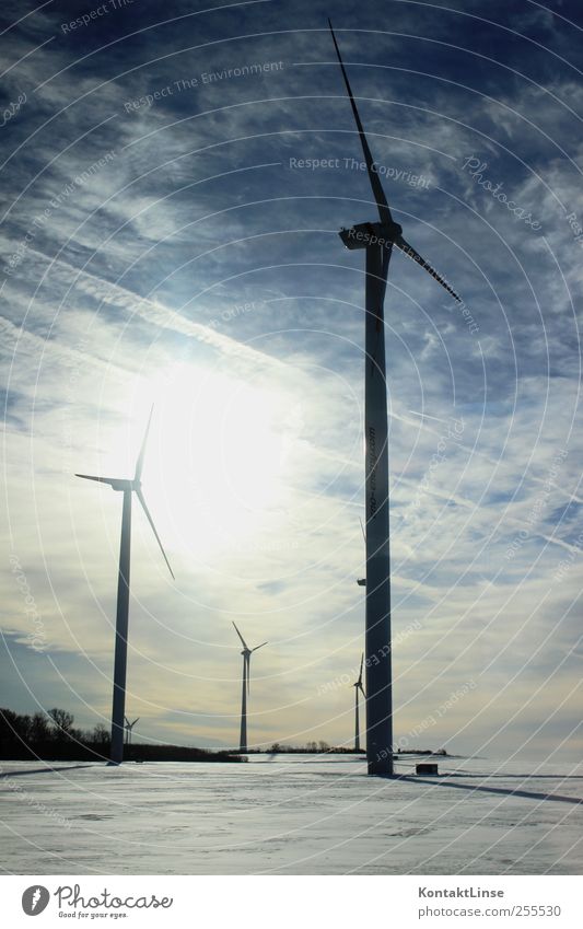 Windräder Wirtschaft Industrie Energiewirtschaft Technik & Technologie Wissenschaften Fortschritt Zukunft Erneuerbare Energie Windkraftanlage Landschaft Himmel
