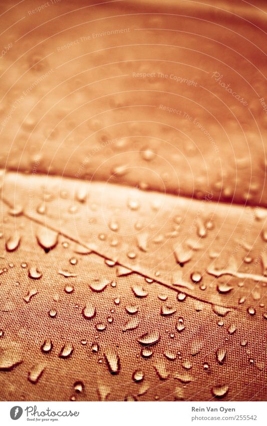 Orangefarbene Tropfen Wasser Wassertropfen Regen Flüssigkeit Glück orange Konsistenz Strukturen & Formen abstrakt Makroaufnahme zufällig Zufälligkeit gelb nass