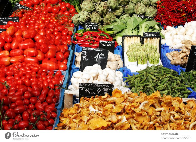 Gemüseüse Gesundheit Markt Farbe Frucht Naschmarkt. Wien Pilz Spargel Tomate Zwiebel