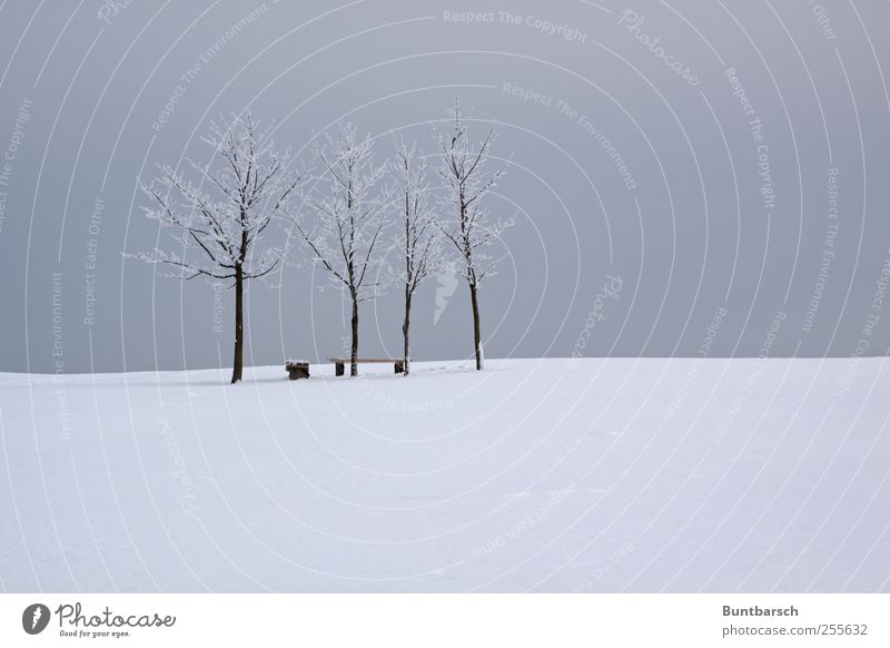 Bankwächter Winter Schnee Winterurlaub Landschaft Himmel Eis Frost Baum kalt trist grau weiß ruhig Menschenleer Rastplatz Farbfoto Gedeckte Farben Außenaufnahme