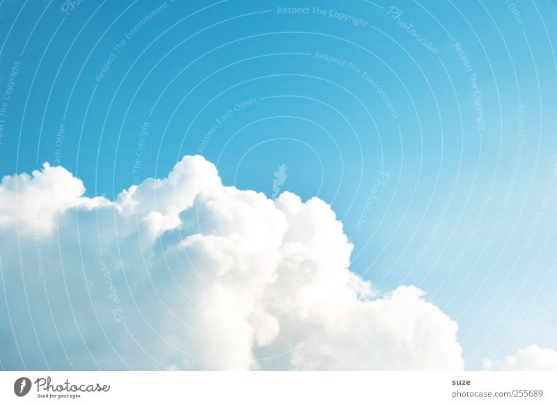 Haufenwolke Umwelt Urelemente Luft Himmel Wolken Klima Wetter Schönes Wetter authentisch schön weich blau weiß himmlisch Kumulus Hintergrundbild Wolkenformation