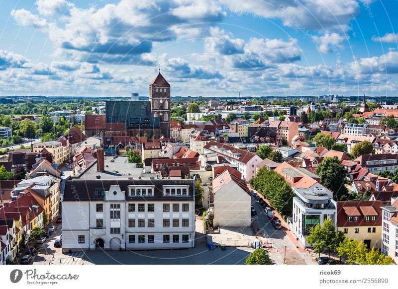 Blick auf die Hansestadt Rostock Erholung Ferien & Urlaub & Reisen Tourismus Haus Wolken Baum Stadt Gebäude Architektur Dach grün rot Kirche Nikolaikirche