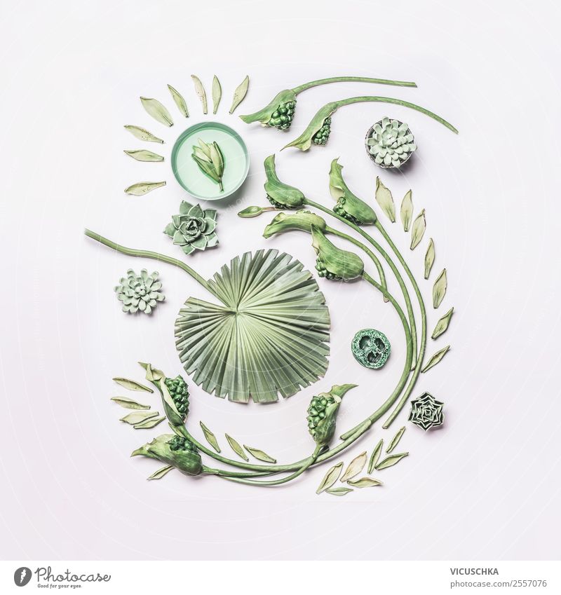 Composing mit grünen Pflanzen und Blumen Stil Design exotisch Gesundheit Wellness Spa Natur Blatt Blüte Dekoration & Verzierung Ornament trendy Hintergrundbild