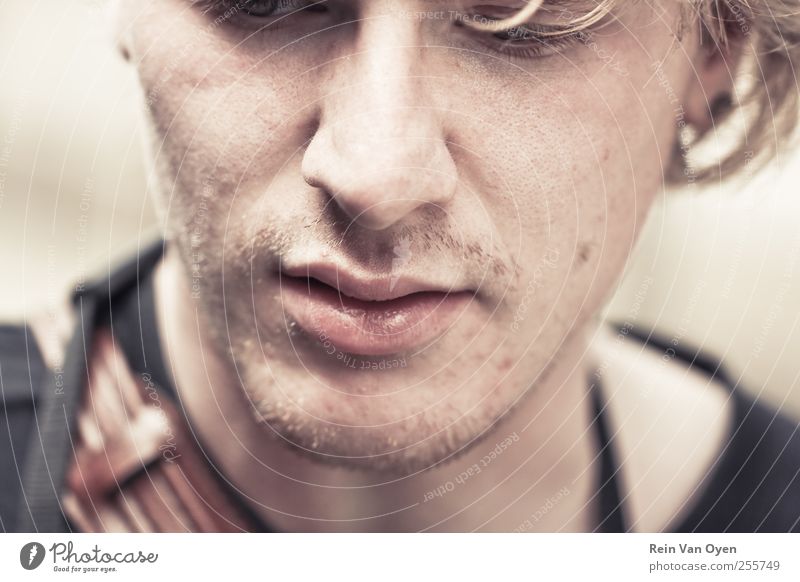 Weiches Lichtporträt Mensch maskulin Junger Mann Jugendliche Gesicht 1 18-30 Jahre Erwachsene Bart Oberlippenbart Dreitagebart Gelassenheit bräunlich Farbfoto