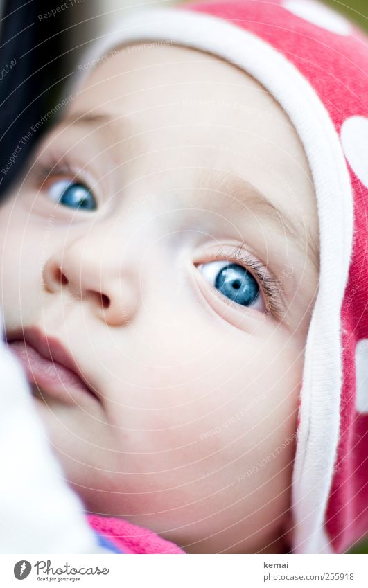 Kleiner Käfer Mensch Baby Leben Kopf Gesicht Auge Nase Mund Lippen 1 0-12 Monate Mütze Blick schön klein niedlich blau Geborgenheit Wachsamkeit blauäugig