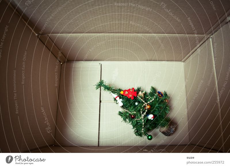 Die Zeit ist reif! Dekoration & Verzierung Weihnachten & Advent Baum Kunststoff Kitsch klein niedlich grün Überraschung Weihnachtsbaum Karton geschmückt packen