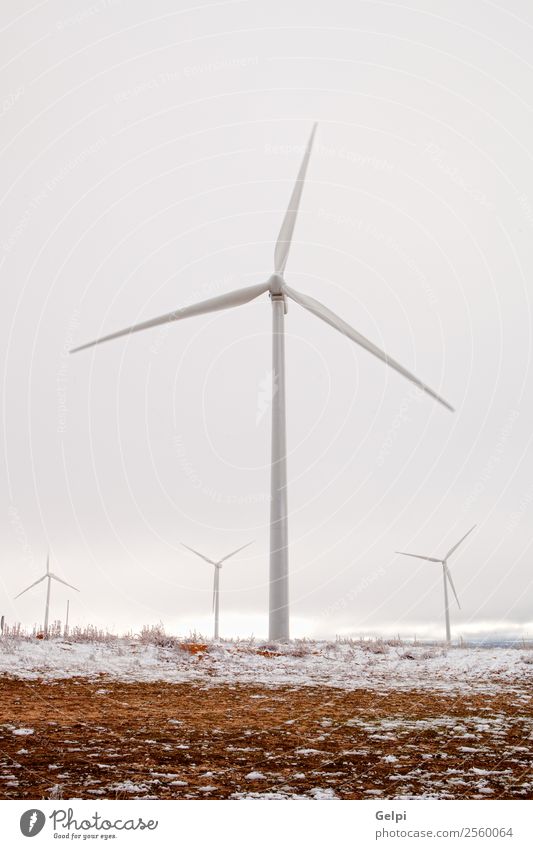 Schneereicher Windpark mit vielen hohen Windmühlen Winter Industrie Technik & Technologie Windkraftanlage Umwelt Natur Landschaft Pflanze Himmel Klima