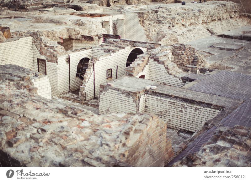 luftiger loftcharakter Häusliches Leben Wohnung Renovieren Keller Berlin Stadt Stadtzentrum Altstadt Burg oder Schloss Ruine Bauwerk Gebäude Architektur Mauer