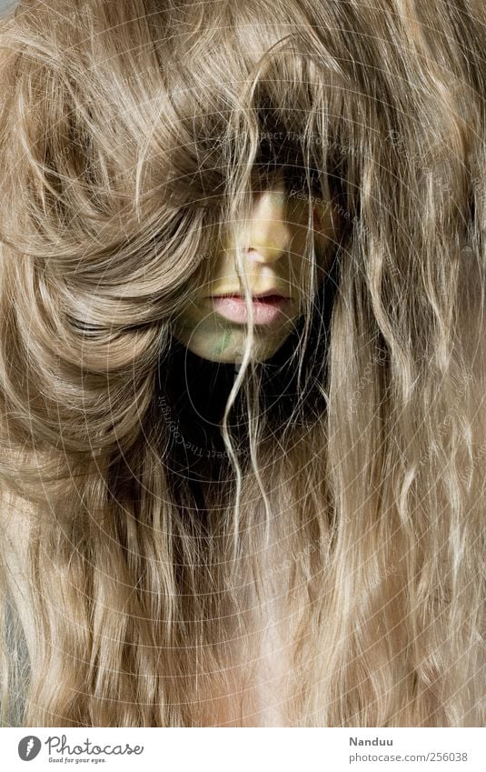 Mit dem Mut eines Löwen Mensch feminin 1 18-30 Jahre Jugendliche Erwachsene außergewöhnlich Porträt Haare & Frisuren wild bemalt zerzaust Beautyfotografie