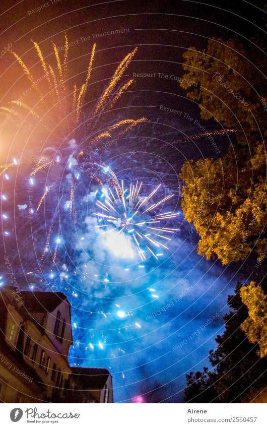 Rauchentwicklung blau gelb Feste & Feiern Silvester u. Neujahr Feuerwerk Himmel Nachthimmel Altstadt glänzend leuchten Fröhlichkeit oben orange schwarz Freude
