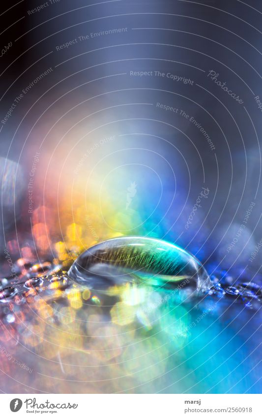 Klarer Wassertropfen in Regenbogenbad Reflexion & Spiegelung Tropfen Lichtbrechung Surrealismus Lichterscheinung Experiment Farbfoto mehrfarbig regenbogenfarben