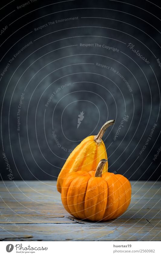 Halloween Dekoration Hintergrund Lebensmittel Gemüse Orange Dekoration & Verzierung Feste & Feiern Herbst Spinne Ornament dunkel lecker sauer Angst Kürbis