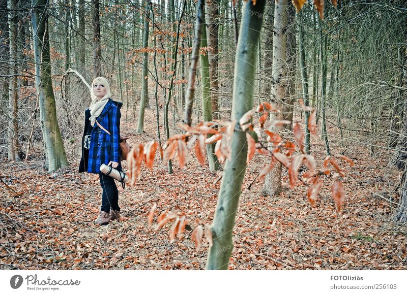 Das Mädchen mit der Thermoskanne Frau Erwachsene 1 Mensch 18-30 Jahre Jugendliche Natur Herbst Baum Blatt Wald Mantel blond Abenteuer Farbfoto Außenaufnahme Tag