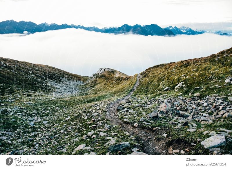 Venet Gipfel | Pitztal | Morgendämmerung Ferien & Urlaub & Reisen Abenteuer Berge u. Gebirge wandern Natur Landschaft Himmel Wolken Sommer Alpen gigantisch