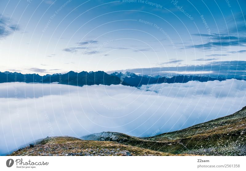 Über den Wolken | Gipfel | Alpen | Österreich Ferien & Urlaub & Reisen Ausflug Abenteuer Berge u. Gebirge Natur Sommer Schönes Wetter ästhetisch Ferne