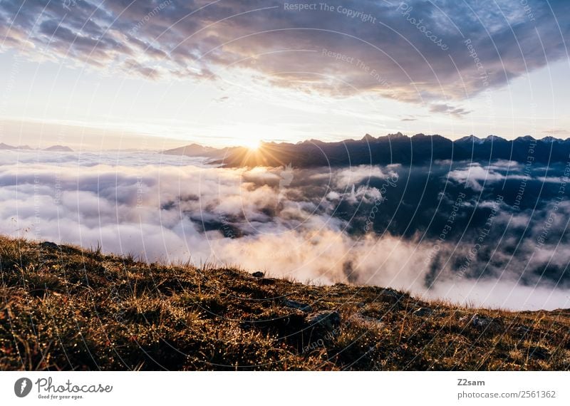 Sonnenaufgang | Pitztal Abenteuer Berge u. Gebirge Umwelt Natur Landschaft Himmel Wolken Sonnenuntergang Sonnenlicht Sommer Schönes Wetter Nebel Alpen Gipfel