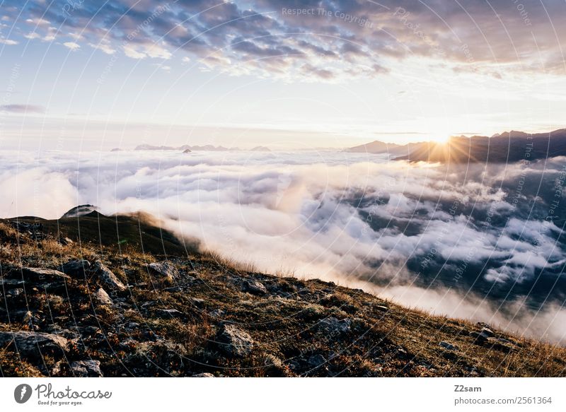 Sonnenaufgang | Venet Gipfel | Inntal Natur Landschaft Himmel Wolken Sonnenuntergang Sommer Schönes Wetter Alpen Berge u. Gebirge ästhetisch gigantisch
