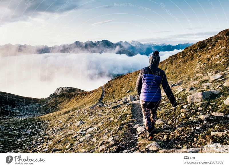Abstieg | Gipfel | Alpen | Morgens Berge u. Gebirge wandern Feste & Feiern Junge Frau Jugendliche 30-45 Jahre Erwachsene Natur Landschaft Himmel Wolken