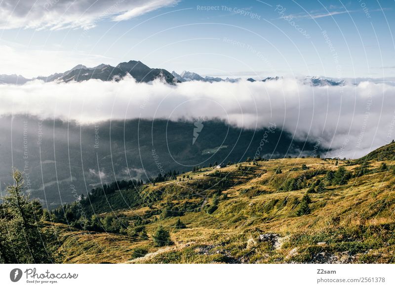 Pitztaler Alpen | Venet Berge u. Gebirge wandern Natur Landschaft Himmel Wolken Sommer Schönes Wetter Gipfel ästhetisch Ferne gigantisch Unendlichkeit natürlich