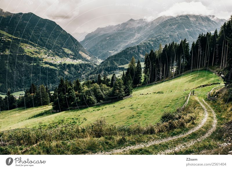 Pitztaler Alpen | Wenns Berge u. Gebirge wandern Natur Landschaft Sommer Schönes Wetter Wald Dorf ästhetisch frisch nachhaltig natürlich grün Einsamkeit