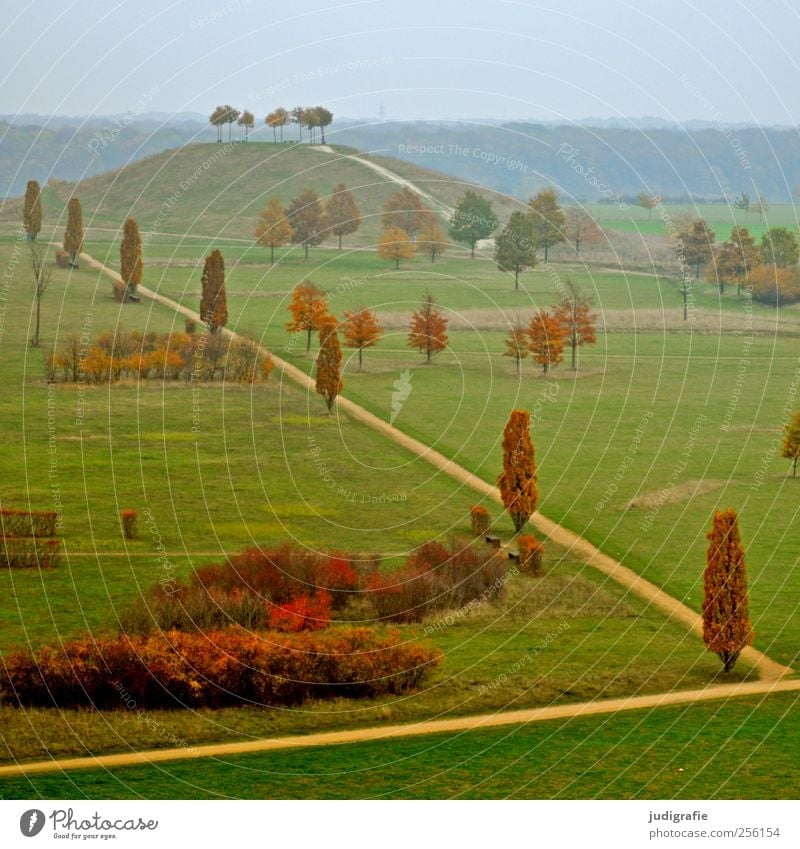 Hannover Umwelt Natur Landschaft Herbst Baum Sträucher Park Wiese Hügel kronsberg Wege & Pfade Farbfoto Außenaufnahme Menschenleer